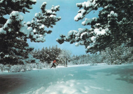 Ukraine - Russia - Winter Landscape - Oekraïne