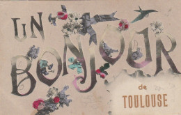 ZY 74-(31) UN BONJOUR DE TOULOUSE - CARTE  FANTAISIE  COLORISEE  -  2 SCANS  - Souvenir De...