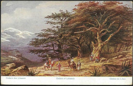 Lebanon-----Cedars Of Lebanon-----old Postcard - Líbano