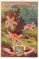 Chromos.AM15074.6x9 Cm Environ.Liebig.Au Fond De La Mer.Astérie.Etoiles De Mer - Liebig