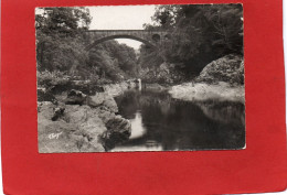 15----CHAMPS SUR TARENTAINE---Le Pont De L' Oursière---voir 2 Scans - Other & Unclassified