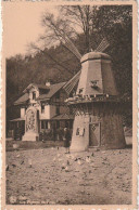 ZY 82- SPA ( BELGIQUE ) - LES PIGEONS DU PARC - MOULIN - 2 SCANS - Spa