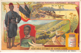 Chromos.AM13180.Liebig.Colonies Des Puissances Européennes.Belgique.Chemin De Fer à Falahalla.Bac Sur Le Congo - Liebig