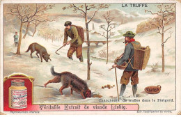 Chromos.AM13379.Liebig.La Truffe.Chercheurs De Truffes Dans Le Périgord - Liebig