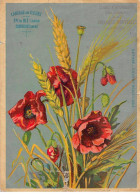 Chromos.AM16678.10x14 Cm Environ.Chicorée Nouvelle.Casiez Et Bourgeois.Langage Des Fleurs.Epi De Blé - Thé & Café