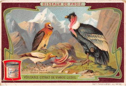 Chromos.AM13346.Liebig.Oiseaux De Proie.Gypaete.Vautour Percnoptère - Liebig