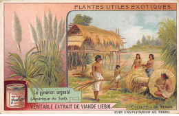 Chromos.AM13314.Liebig.Plantes Utiles Exotiques.Le Gynérion Argenté (Amérique Du Sud).Confection De Nasses - Liebig