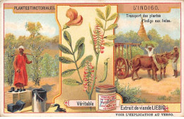 Chromos.AM13309.Liebig.Plantes Tinctoriales.L'indigo.Transport Des Plantes D'indigo Aux Indes - Liebig