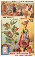 Chromos.AM13299.Liebig.Solanées.La Belladone.Paysanne De La Forêt Noire.Laboratoire-Livraison Des Fruits De Belladone - Liebig