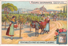 Chromos.AM13288.Liebig.Fleurs Odorantes.Cueillette Des Roses De Provence - Liebig