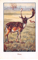 Chromos -COR11972 - Huile De Foie De Morue La Gaduase - Daim -  6x10cm Env. - Other & Unclassified