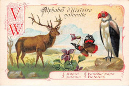 Chromos -COR11758 - Alphabet D'histoire Naturelle - Wapiti - Vautour Papa - Vulcain - Violettes  -  7x10cm Env. - Otros & Sin Clasificación