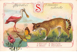 Chromos -COR11756 - Alphabet D'histoire Naturelle - Serval - Spatule- Souci - Sainfoin -  7x10cm Env. - Otros & Sin Clasificación