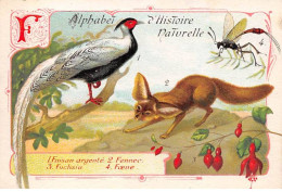 Chromos -COR11753 - Alphabet D'histoire Naturelle - Faisan Argenté - Fennec - Fuchsia - Foene -  7x10cm Env. - Otros & Sin Clasificación