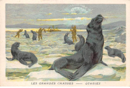 Chromos -COR11736 -  Les Grandes Chasses - Otaries -  7x10cm Env. - Other & Unclassified