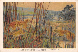 Chromos -COR11730 -  Les Grandes Chasses - Jaguar -  7x10cm Env. - Autres & Non Classés