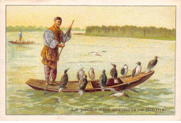 Chromos -COR11724 - La Pêche Aux Cormorans - Bateau - Chine -  7x10cm Env. - Autres & Non Classés