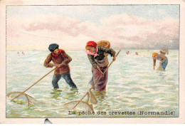 Chromos -COR11718 - La Pêche Des Crevettes - Normandie - En L'état  -  7x10cm Env. - Autres & Non Classés