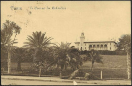 Tunisia-----Le Casino Du Belvedere-----old Postcard - Túnez