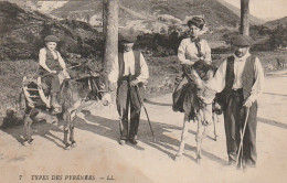 ZY 93 - TYPES DES PYRENEES - MULETIERS - PROMENADE A DOS D' ANE - 2 SCANS - Personaggi