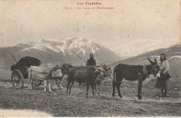 ZY 93 - LES PYRENEES - UN ATTELAGE MONTAGNARD - PAYSANNES AVEC ANE , BOEUFS - 2 SCANS - Equipos