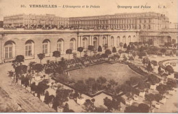 ORANGERIE OLEAU BLTERATUON BANLIEU - Versailles (Château)