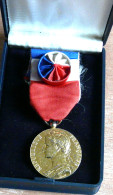 MEDAILLE DU TRAVAIL DOREE AVEC ROSETTE ET RUBAN DE 1987 - Professionals / Firms