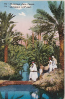 ZY 103-( TUNISIE ) - CHASSEURS DANS L' OASIS  - ( CORRESPONDANCE REVILLE 1922 )- 2 SCANS - África