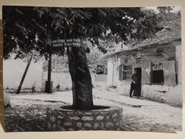 Greece Photo IOANNINA Island 1963. Museum Ali Pacha - Europa