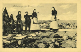 Denmark, Faroe Islands, TORSHAVN, Fisketørring, Telescope (1930s) Postcard - Faeröer