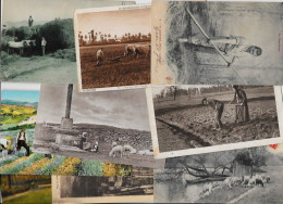 Lot 249 De 10 CPA Divers Métier Campagne Ferme Folklore Déstockage Pour Revendeurs Ou Collectionneurs - 5 - 99 Postcards