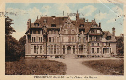 ZY 114-(76) FROBERVILLE - LE CHATEAU DES HOGUES - CARTE COLORISEE - 2 SCANS - Otros & Sin Clasificación