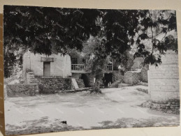 Greece Photo IOANNINA Island 1963. - Europa