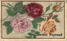 CHROMO CHOCOLAT PAYRAUD FLEUR - Other & Unclassified