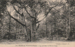 ZY 115-(77) LE CARREFOUR DU NID DE L' AIGLE - FORET DE FONTAINEBLEAU  - 2 SCANS - Trees