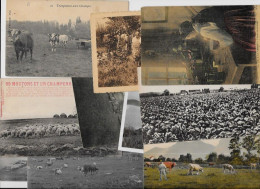 Lot 250 De 10 CPA Divers Métier Campagne Ferme Folklore Déstockage Pour Revendeurs Ou Collectionneurs - 5 - 99 Postcards