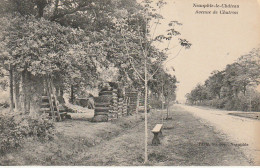 ZY 116-(78) NEAUPHLE LE CHATEAU - AVENUE DE CHATRON - 2 SCANS - Neauphle Le Chateau