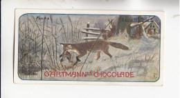 Gartmann Jagdbilder Der Fuchs  Serie 195 #3 Von 1907 - Autres & Non Classés