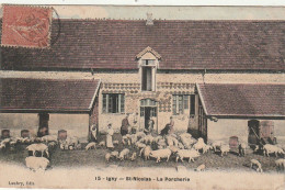 ZY 130-(91) IGNY - ST NICOLAS - LA PORCHERIE - ANIMATION - PAYSANS , PORCHERS - CARTE COLORISEE  - 2 SCANS - Igny