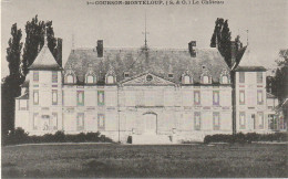 ZY 130-(91) COURSON MONTELOUP - LE CHATEAU - 2 SCANS - Other & Unclassified