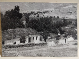 Greece Photo IOANNINA Island 1963. - Europa