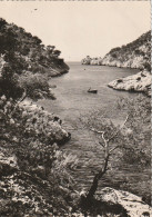 ZY 139-(13) CASSIS - CALANQUE DE PORT PIN - 2 SCANS - Cassis