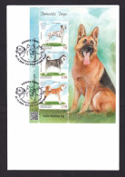 Kyrgyzstan: Cover, 2020, 3 Stamps, Souvenir Sheet, Dogs, Dog, Pet Animal, First Day Cancel, FDC (traces Of Use) - Kirghizstan