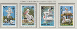 ROMANIA 1984 WWF Birds Pelicans Mi 4104-4107 MNH(**) Fauna 693 - Pélicans