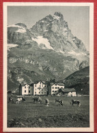 Cartolina - Monte Cervino E Hotel Jumeaux - 1950 Ca. - Andere & Zonder Classificatie