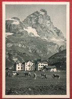 Cartolina - Monte Cervino E Hotel Jumeaux - 1950 Ca. - Otros & Sin Clasificación