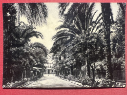 Cartolina - Genova Nervi - Viale Delle Palme - 1950 Ca. - Genova (Genua)