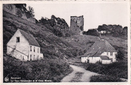 ZY 143- BEAUMONT - LA TOUR SALAMANDRE ET LE VIEUX MOULIN - Beaumont