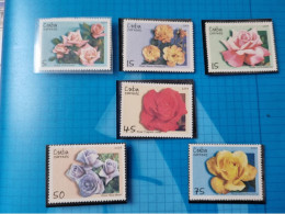 CUBA  NEUF  2007   ROSAS  //  PARFAIT  ETAT  // 1er  CHOIX   // - Nuevos