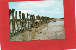 17-----ILE D'OLERON--Les Boucholeurs à Boyardville--voir 2 Scans - Ile D'Oléron